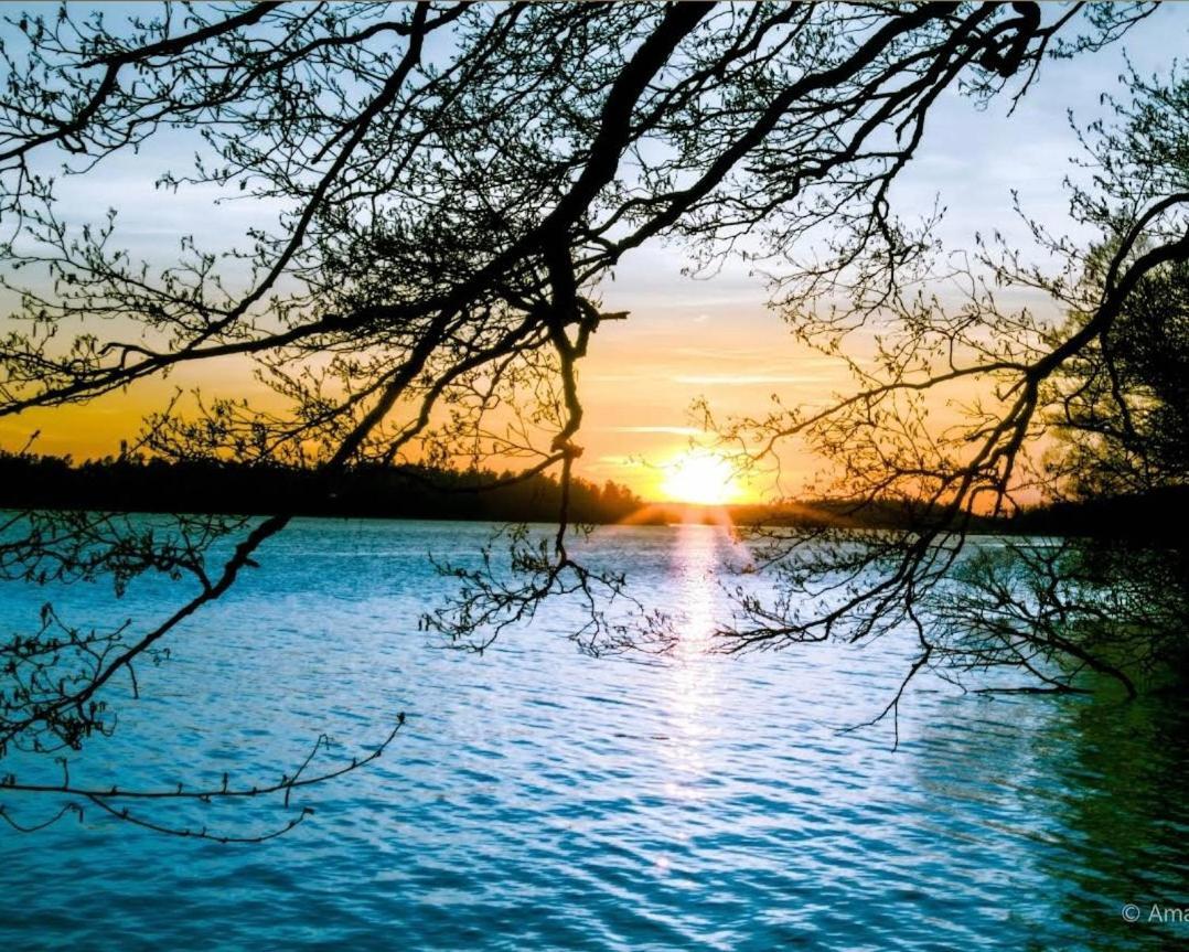Close To The Metro And The Beach!!! With A View Of The Scandinavian Forest Stockholm Ngoại thất bức ảnh