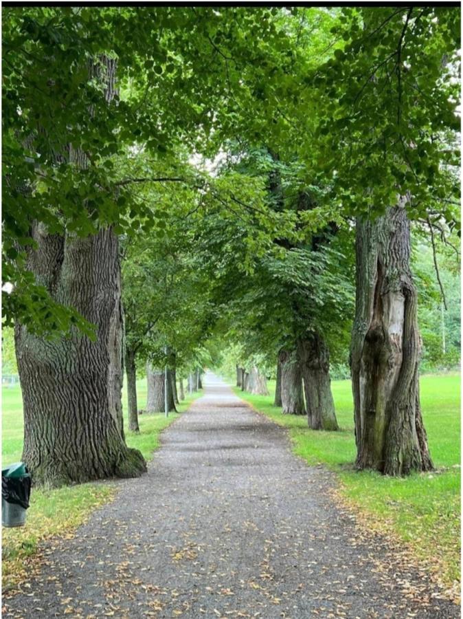 Close To The Metro And The Beach!!! With A View Of The Scandinavian Forest Stockholm Ngoại thất bức ảnh