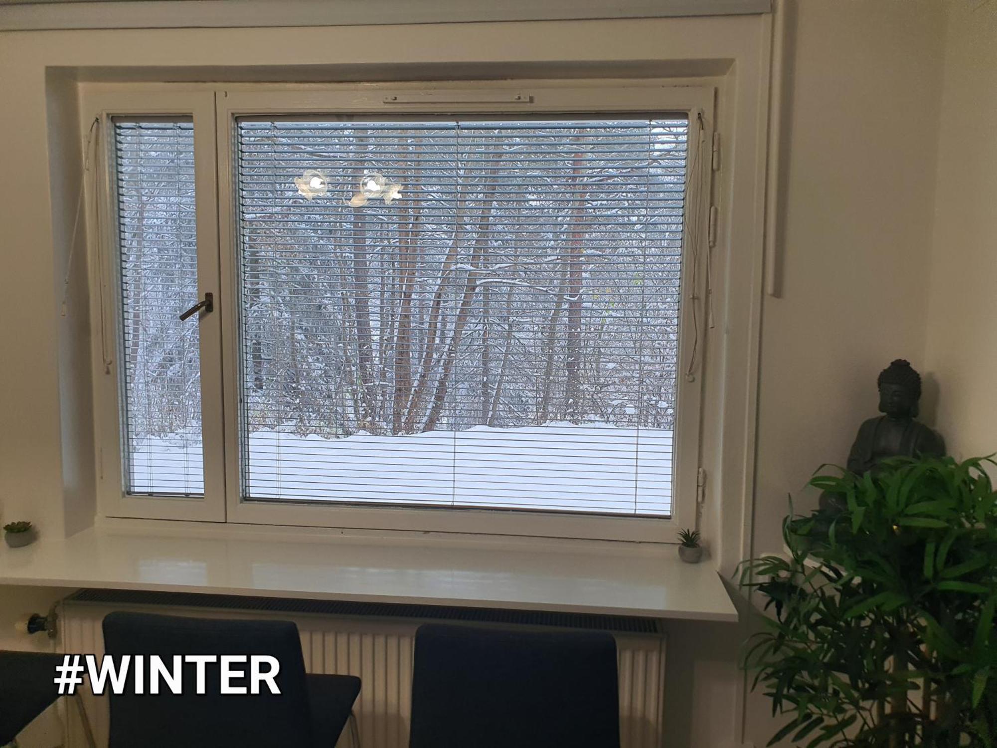Close To The Metro And The Beach!!! With A View Of The Scandinavian Forest Stockholm Ngoại thất bức ảnh